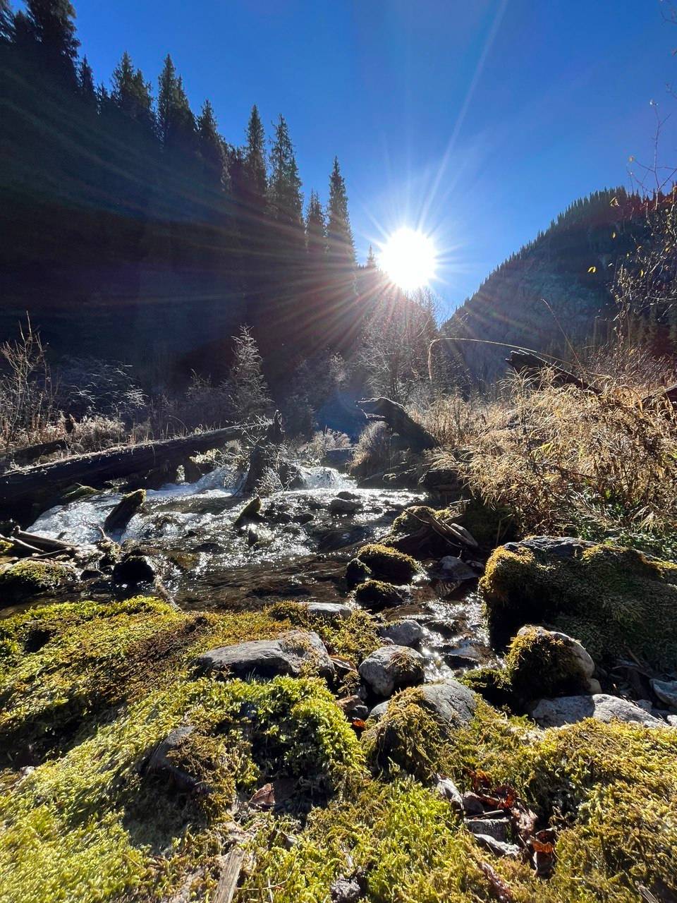 Фотография года