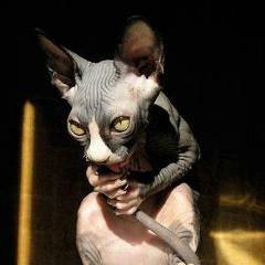 Усатые Полосатые