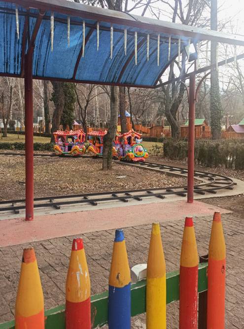 Сын катается на паровозике