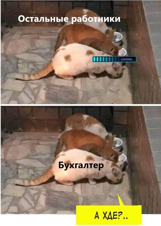 Изображение пользователя Винсент