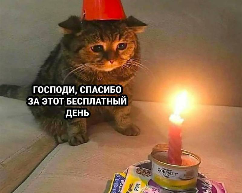Мем в тему