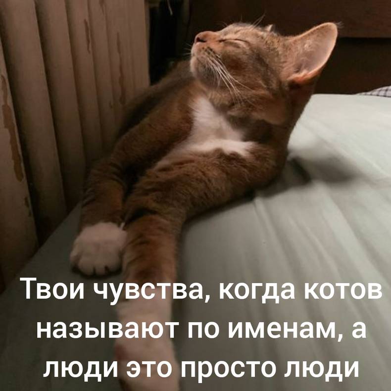 Изображение пользователя Винсент