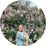 Можно ли перевозить корм для животных через границу