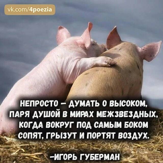 Изображение пользователя Ell'