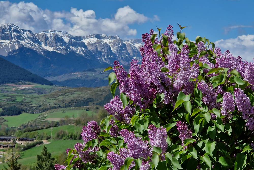 Сердания и наш кемпинг весной