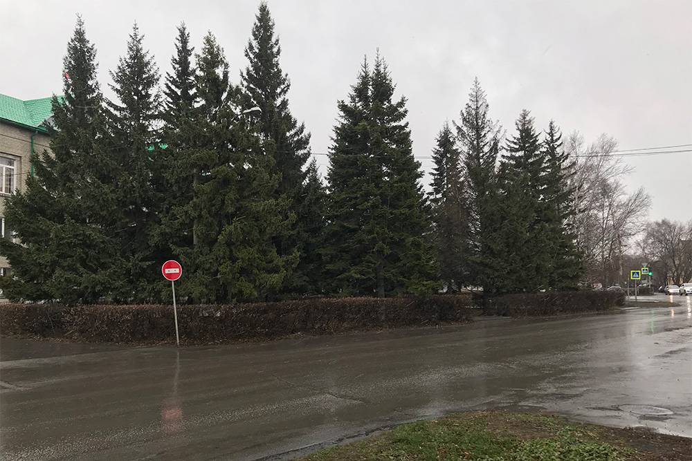 Неприятная для прогулок погода