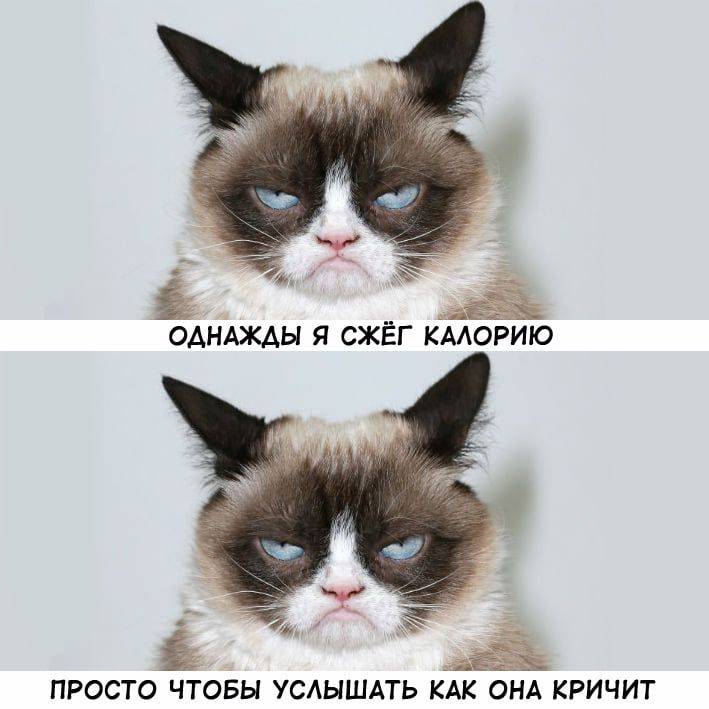 Изображение пользователя Филиппыч