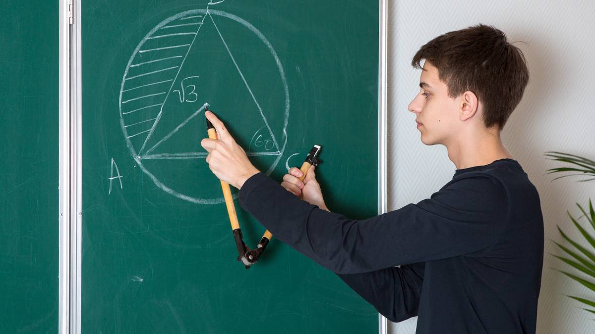 Что за проект «Математическая вертикаль» в московских школах