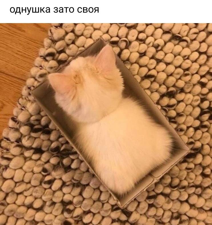 Изображение пользователя Виалетта
