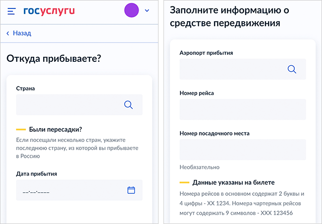 Фрагмент анкеты, которую заполняют на госуслугах до въезда в Россию. В ней кроме паспортных сведений и данных о месте проживания отмечают страну прибытия, наличие пересадок и дату въезда. Если турист путешествует самолетом, необходимо указать аэропорт прибытия, номер рейса и места. Прикреплять к анкете фотографию не нужно