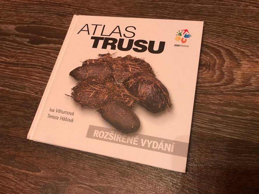 Изображение пользователя Аркадий Литвинов