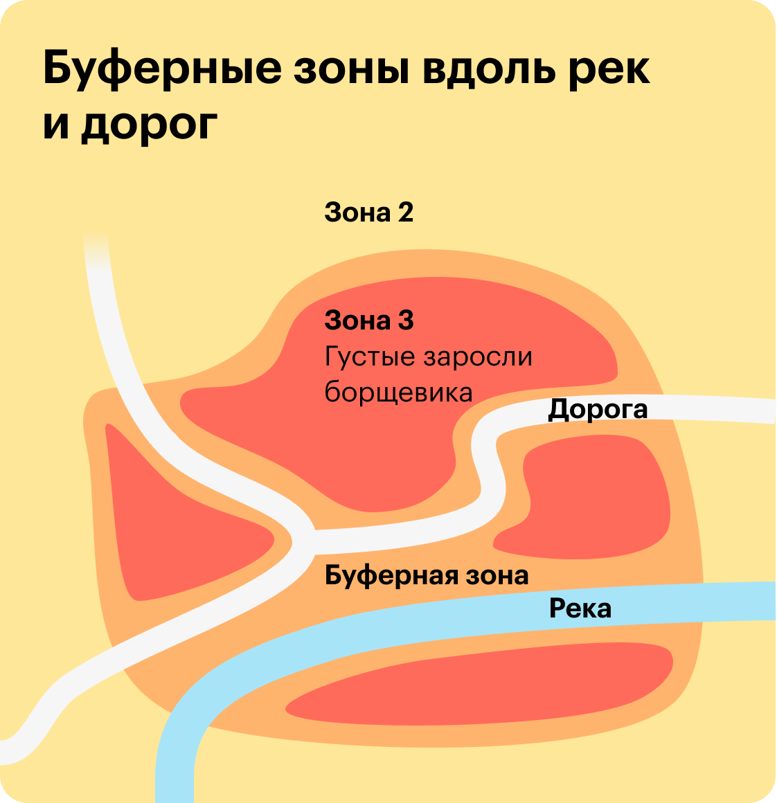 Источник: «Антиборщевик»