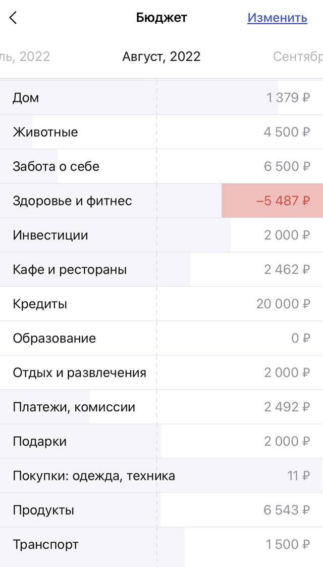 Бюджет на август: в категории «Здоровье» мы вышли из плана, а во всех остальных еще не потратили планируемую сумму