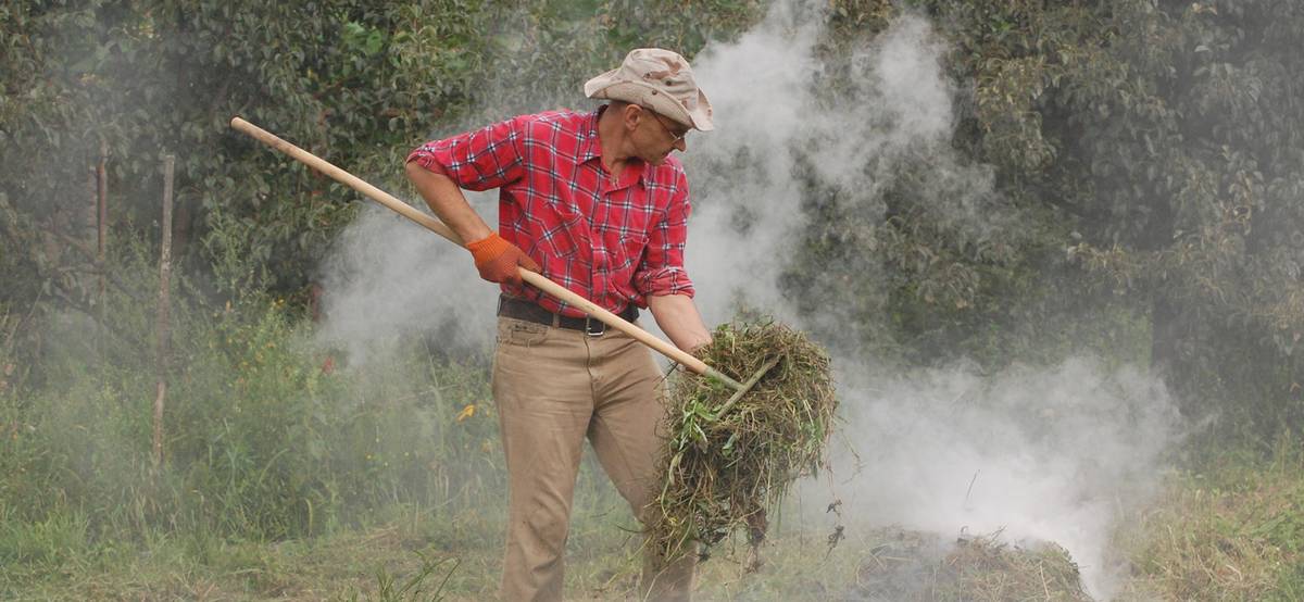 Можно ли жечь мусор, разводить костер и жарить шашлык на участке в 2023