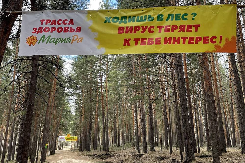 Трасса здоровья рубцовск схема