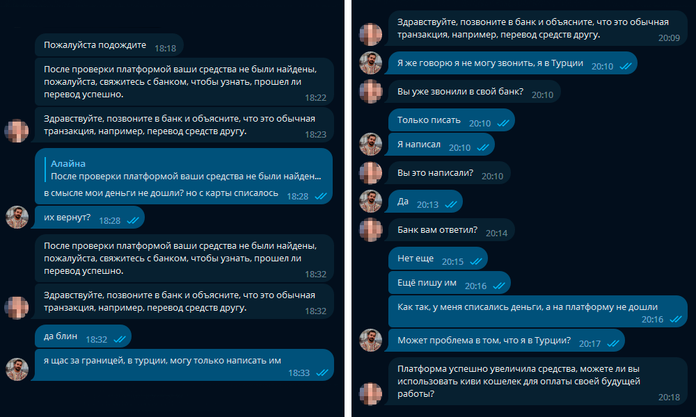Я прислал отредактированную в «Пейнте» квитанцию о переводе. Сначала «платформа» никак не могла найти мои средства, но потом сдалась и зачислила их на счет