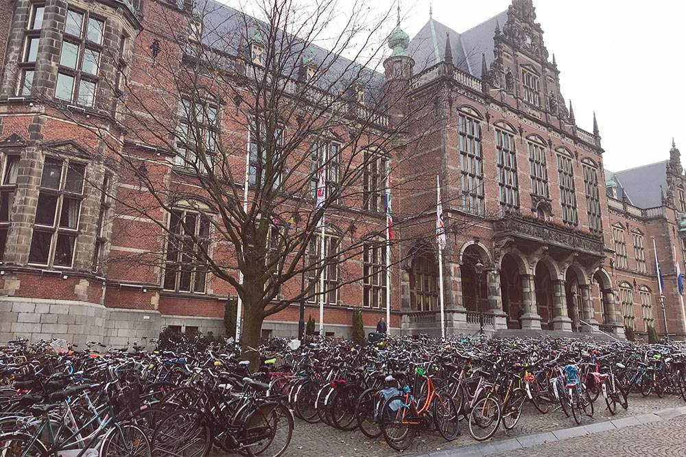 Гронингенский университет — один из самых крупных работодателей в городе