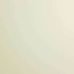 Дмитрий Костыркин