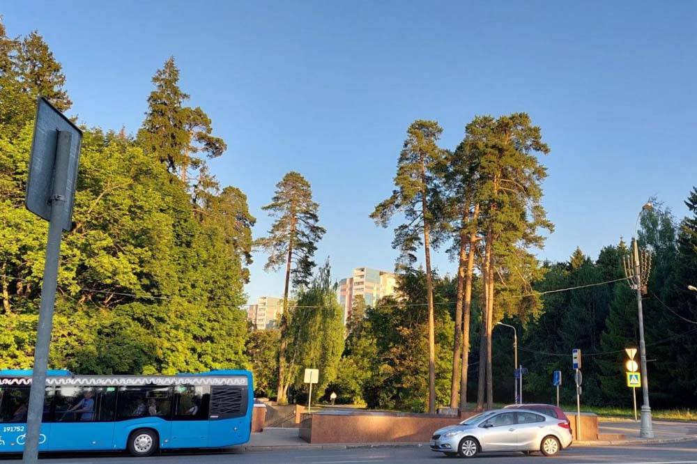 По пути домой