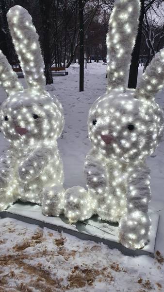Злобный КотоПес