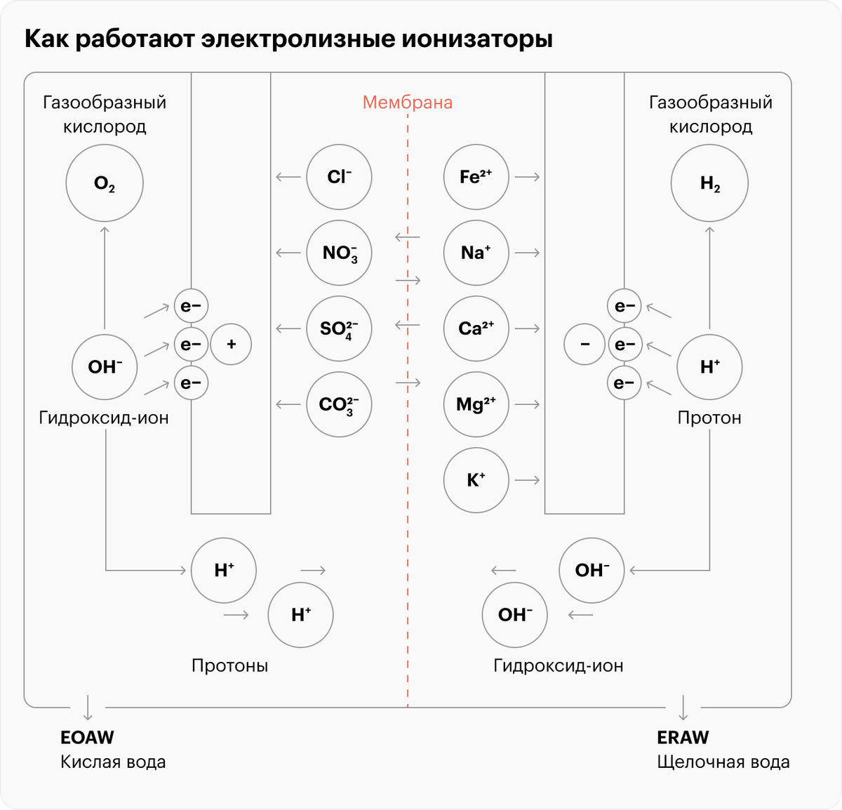 EOAW — кислая вода, ERAW — щелочная. Смешиваться им не дает полимерная мембрана