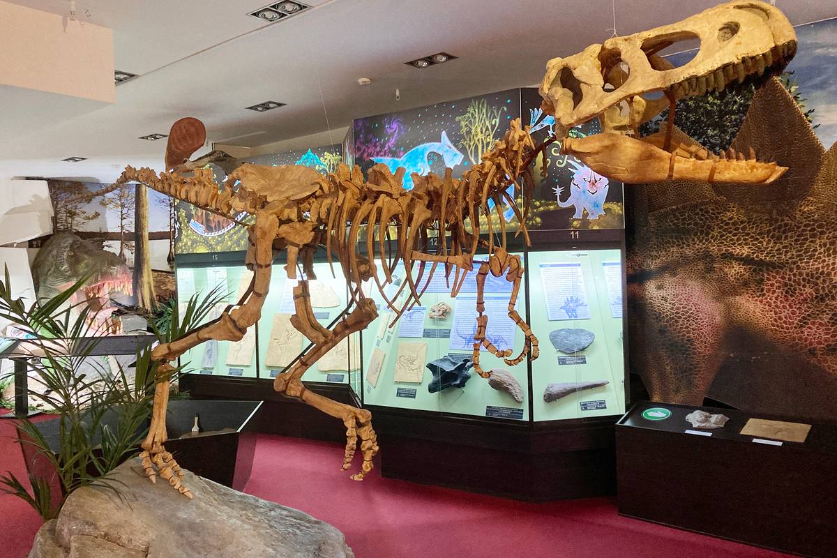 Скелет хищного тарбозавра нашли в пустыне Гоби во время совместной экспедиции советских и монгольских палеонтологов. В кировском музее выставили копию, а оригинал хранится в Палеонтологическом музее РАН в Москве