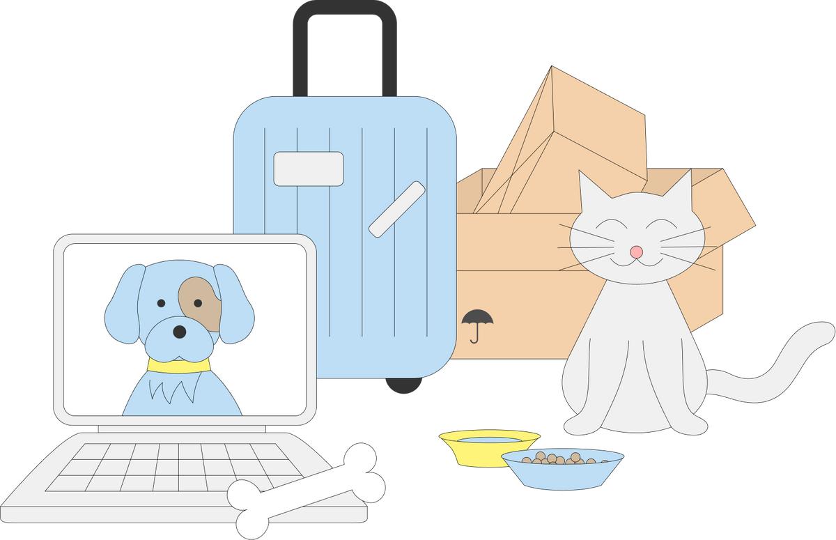 «Пришлось всю дорогу гладить кота»: 5 советов, которые помогут упростить переезд с животным