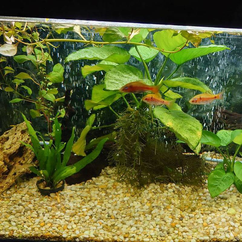 Как живет психиатр в Москве с зарплатой 220 000