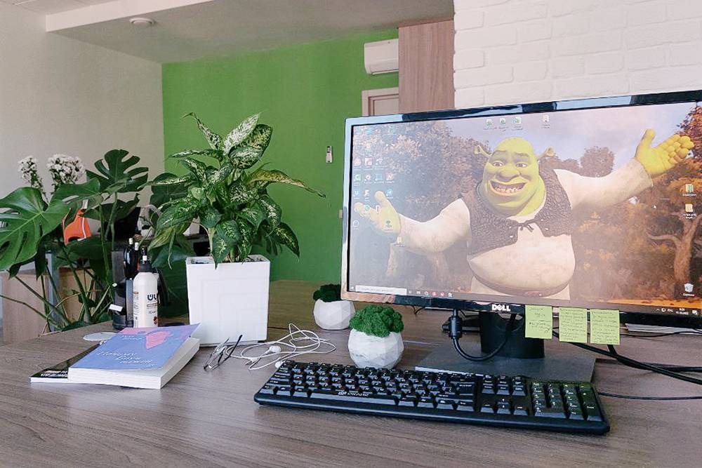 ПИСАТЬ В СФЕРЕ ОБРАЗОВАНИЯ