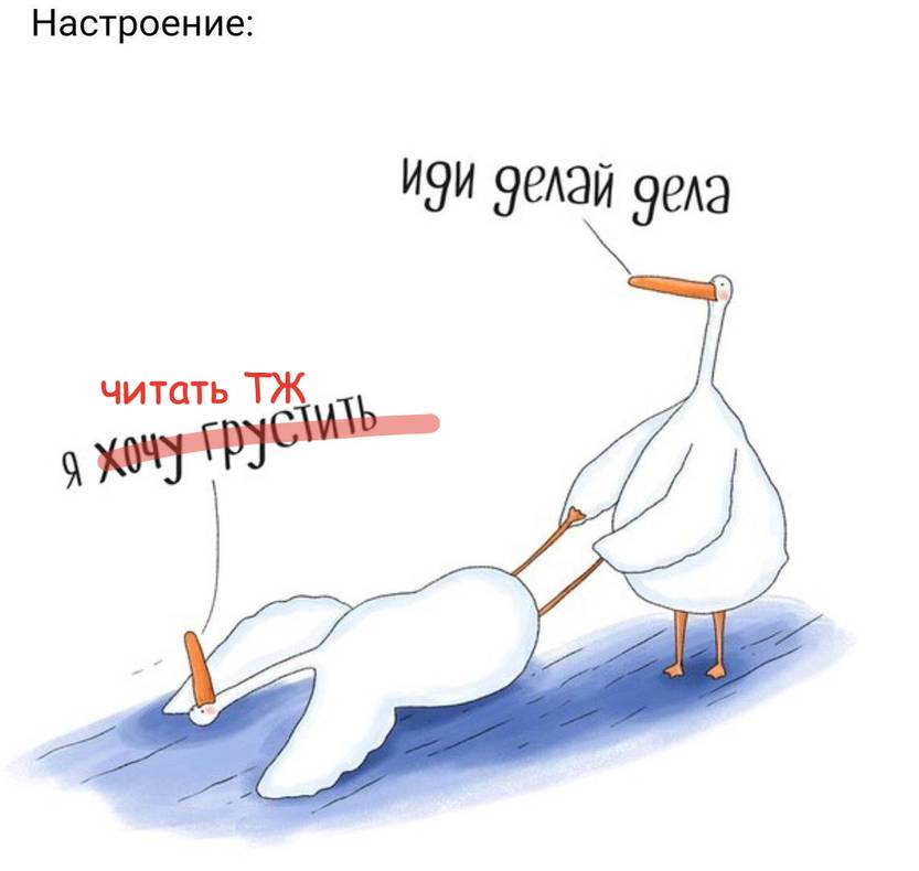 Изображение пользователя Гусь лапчатый