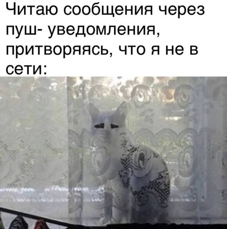 Изображение пользователя Винсент