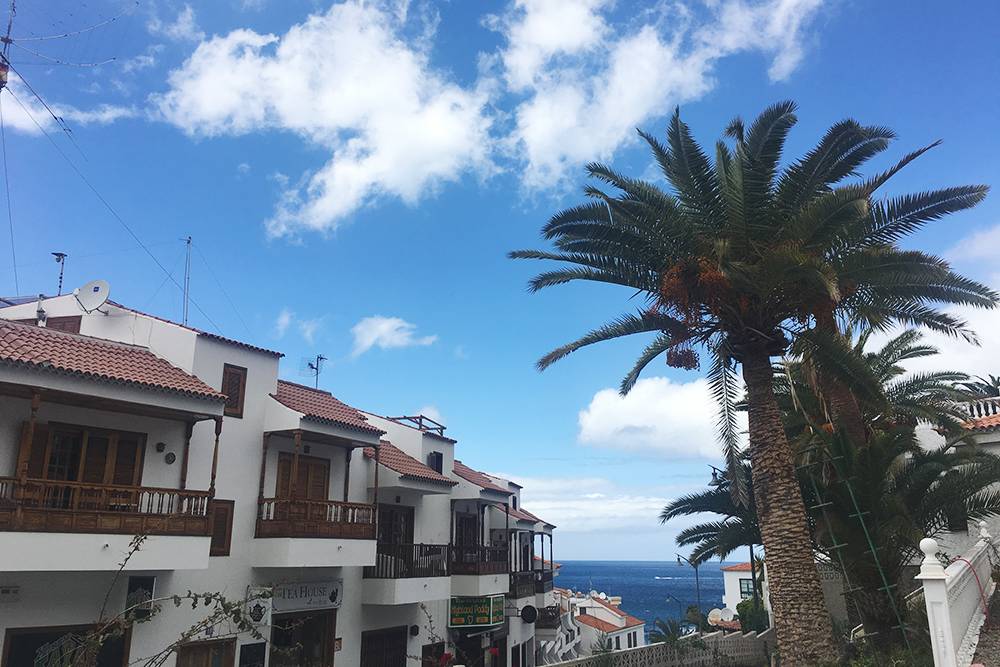 Вместо пятизвездочного отеля мы выбрали апартаменты с видом на море и пальмы недалеко от Плайя-де-ла-Арена