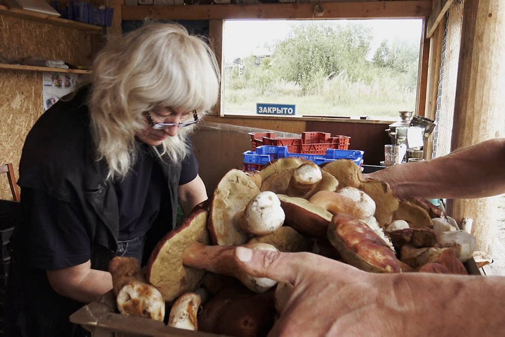 На скупку пунктам нужно много наличных, до полумиллиона в день. Так же и с ягодами