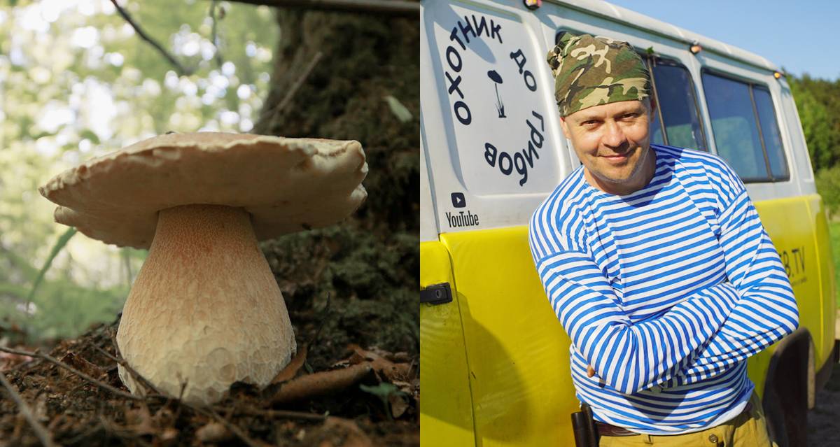 Как журналист «Коммерсанта» начал продавать грибы у трассы и зарабатывает 400 000 ₽