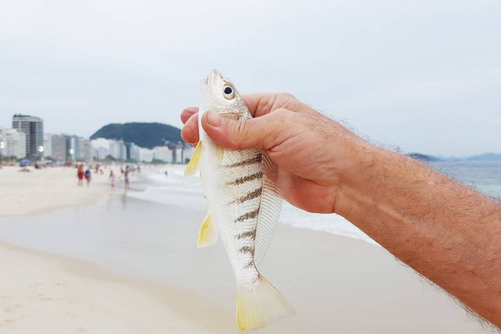 Улов бразильского рыбака на пляже Копакабана в Рио