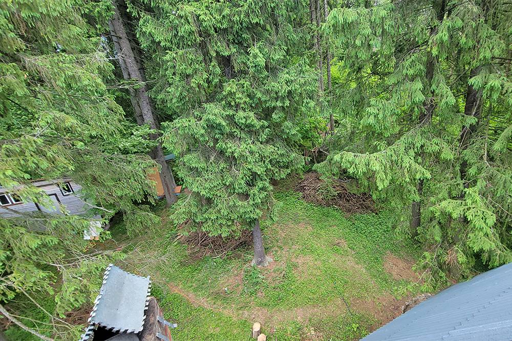 А это вид с крыши на наш лес. Слева виднеется хозблок с душевой и стиральной машинкой