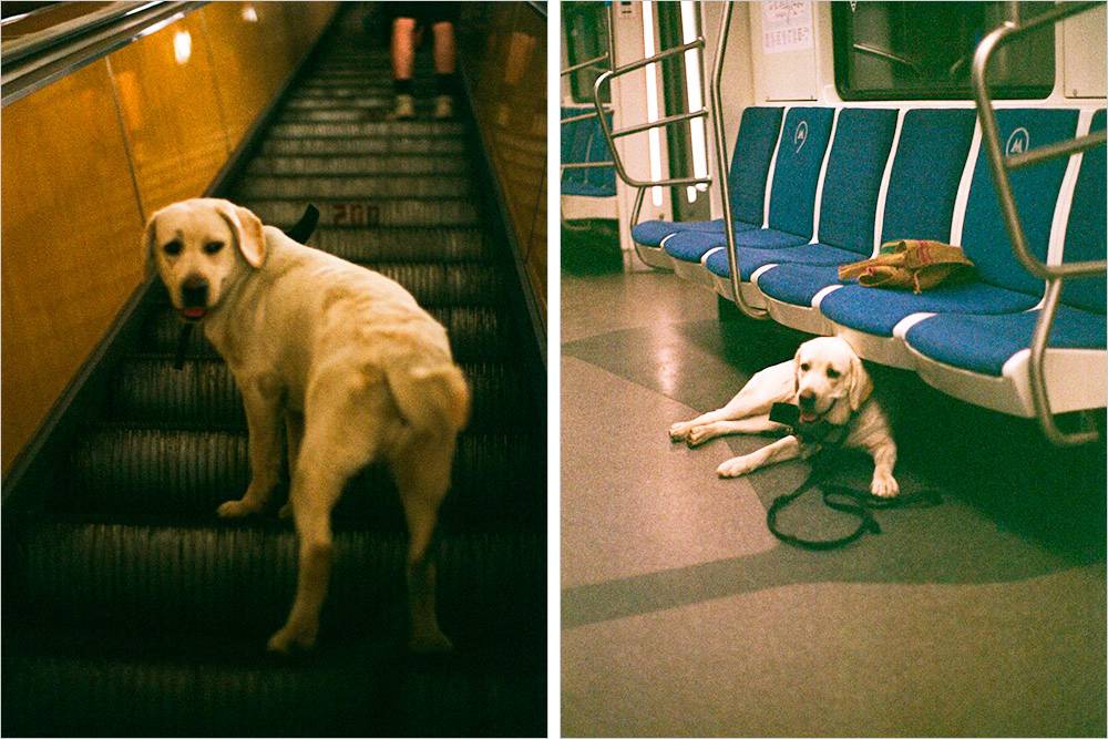 В метро Марго чувствовала себя спокойно, но сходить с эскалатора боялась