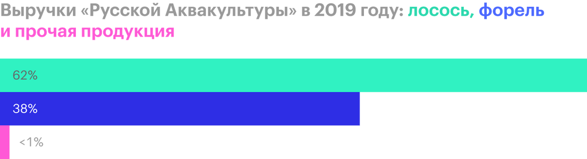 Источник: финансовая отчетность «Русской аквакультуры» за 2019&nbsp;год
