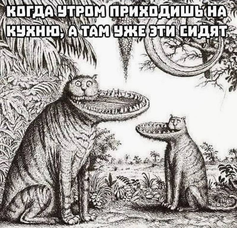 Мем в тему