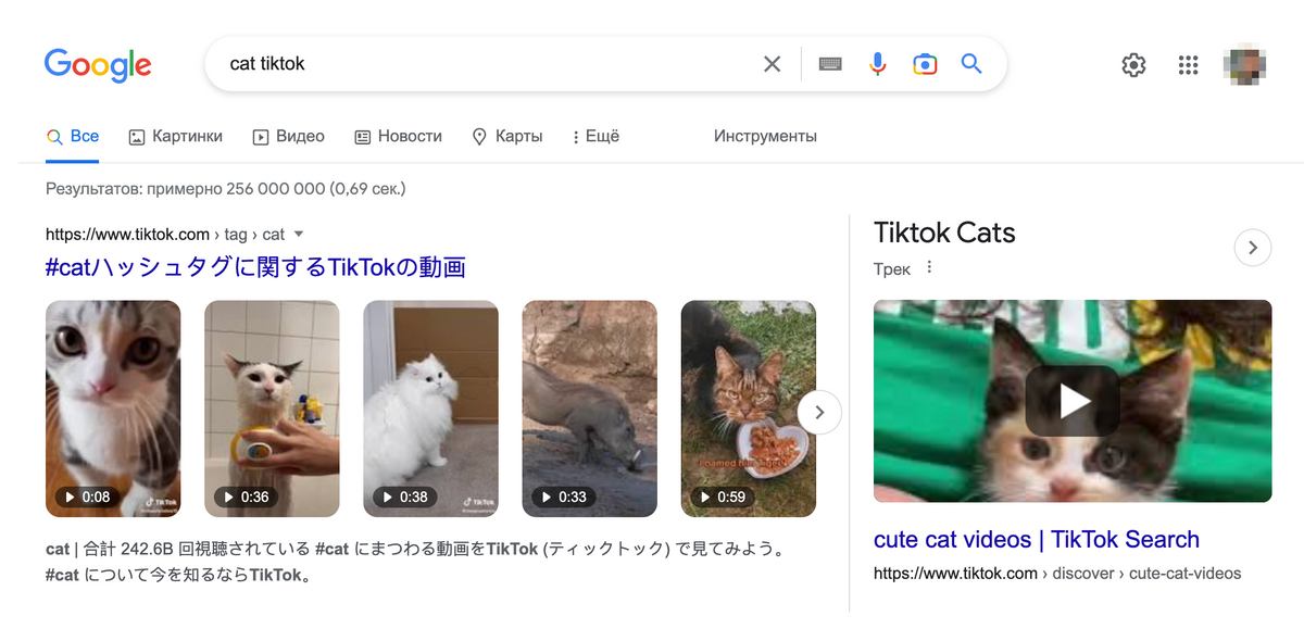 Выдача по запросу «cat» и «TikTok» — сразу появляются видео из соцсети. Источник: google.com