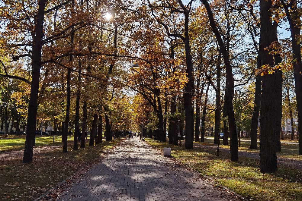 Сквер по дороге к парку «Царское Село»