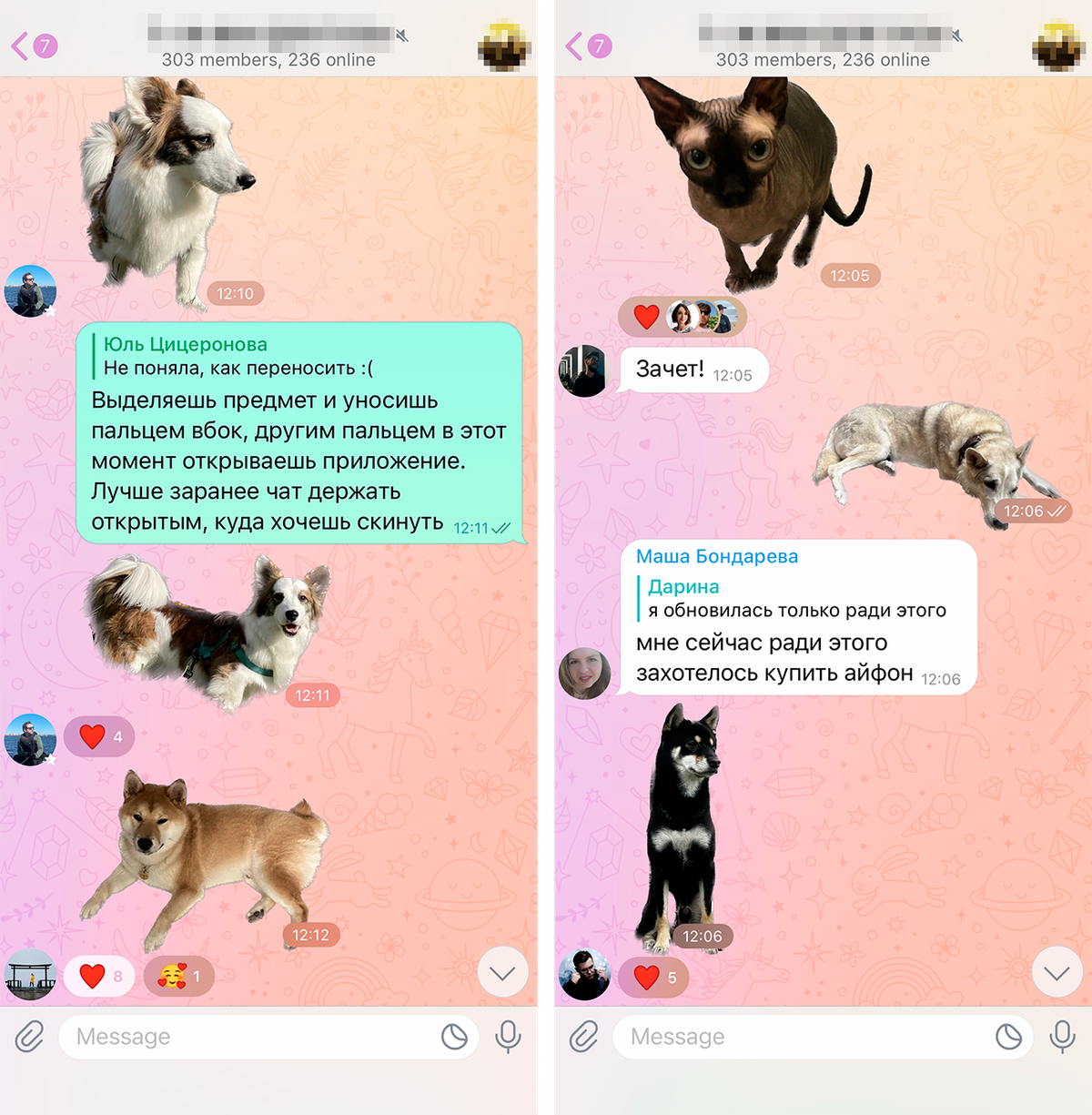 Теперь ваши чаты неизбежно будут наполнены собачками и котиками