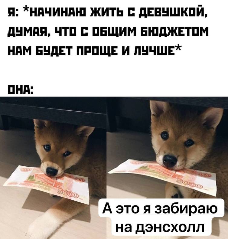 Изображение пользователя Мушу
