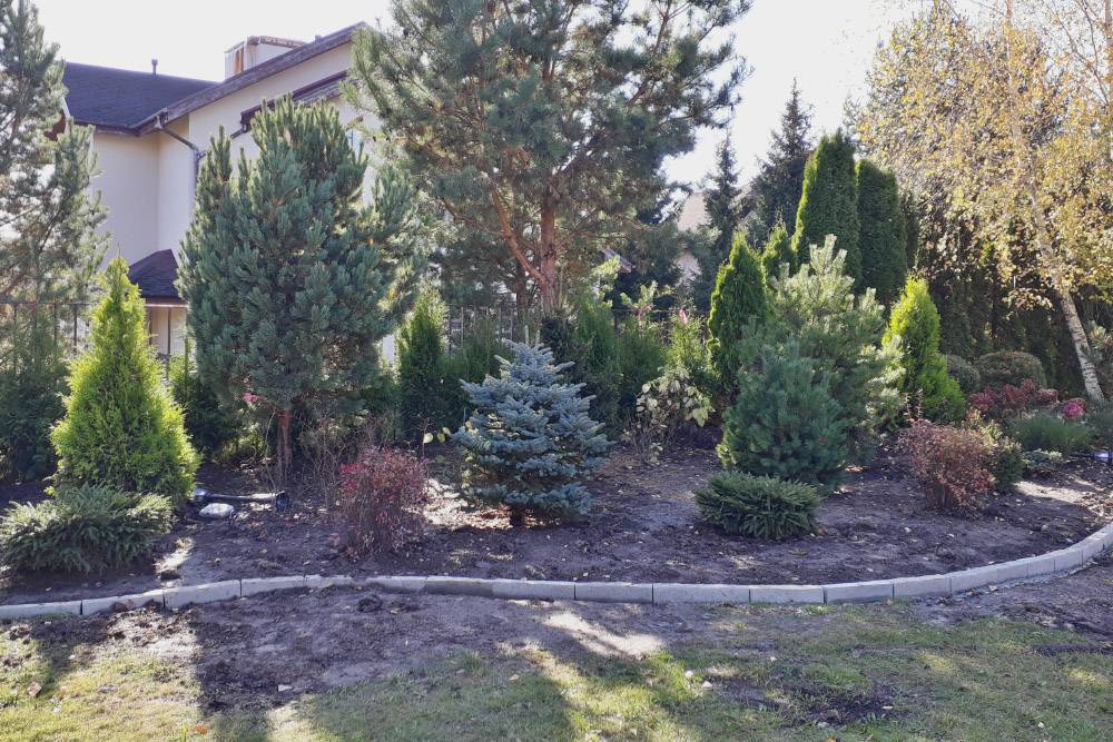 На этом фото мы уже собрали композицию из растений и выставили бортик. Фото: «Разумный сад»