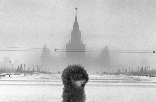 просто Ёжикова