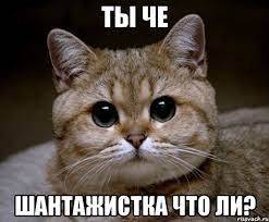 Изображение пользователя Николай