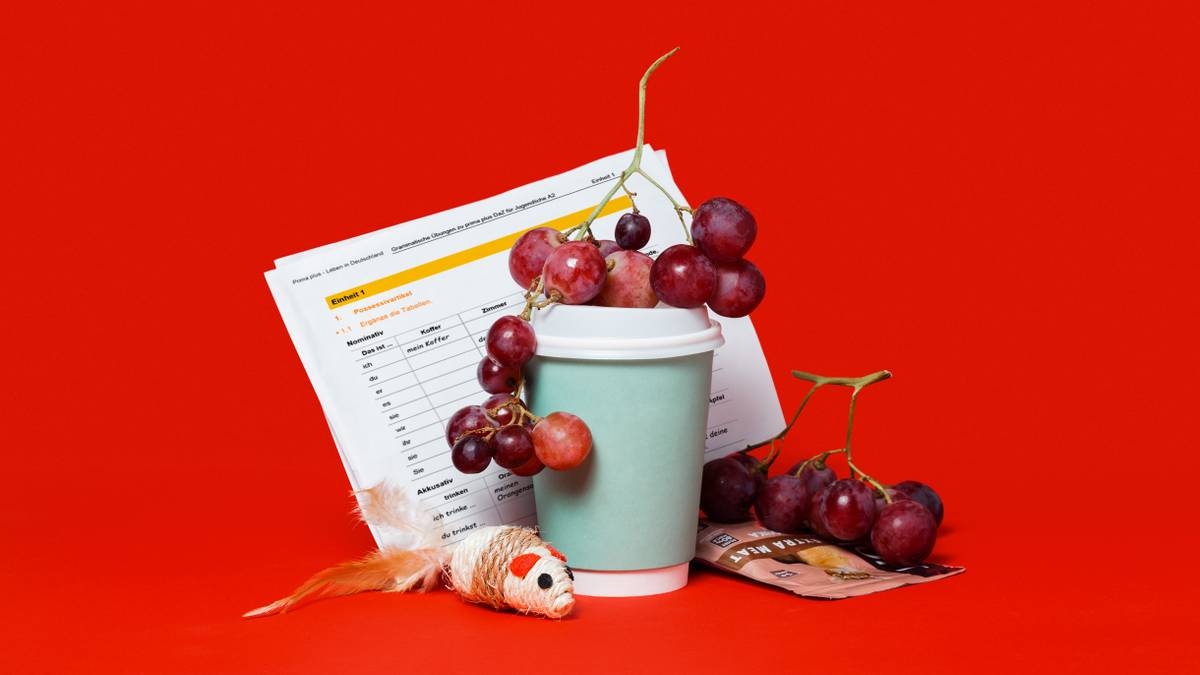 Как живет фронтенд-разработчица в Санкт-Петербурге с зарплатой 160 000 ₽