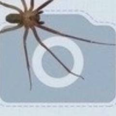 Аслан Байдаев