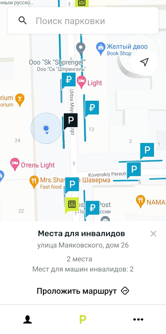 «Парковки Санкт-Петербурга» примерно такие&nbsp;же. Жаль, нельзя отключить слой карты с организациями — надписи мешают