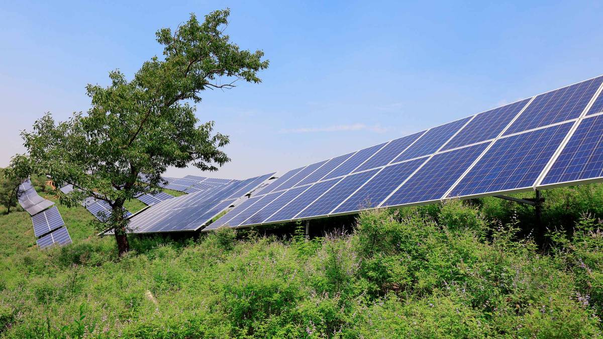 Солнечные батареи для дома: сколько стоят и выгодны ли